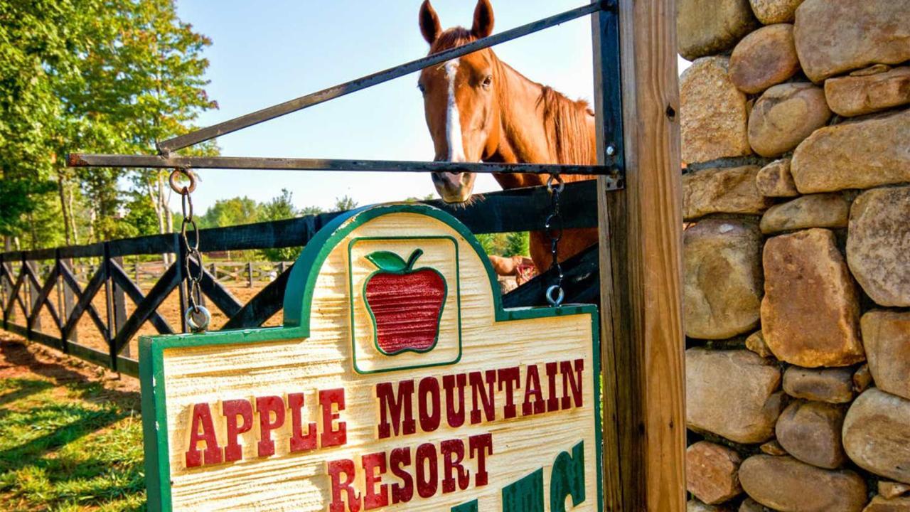 Holiday Inn Club Vacations Apple Mountain Resort At Clarkesville Exteriér fotografie